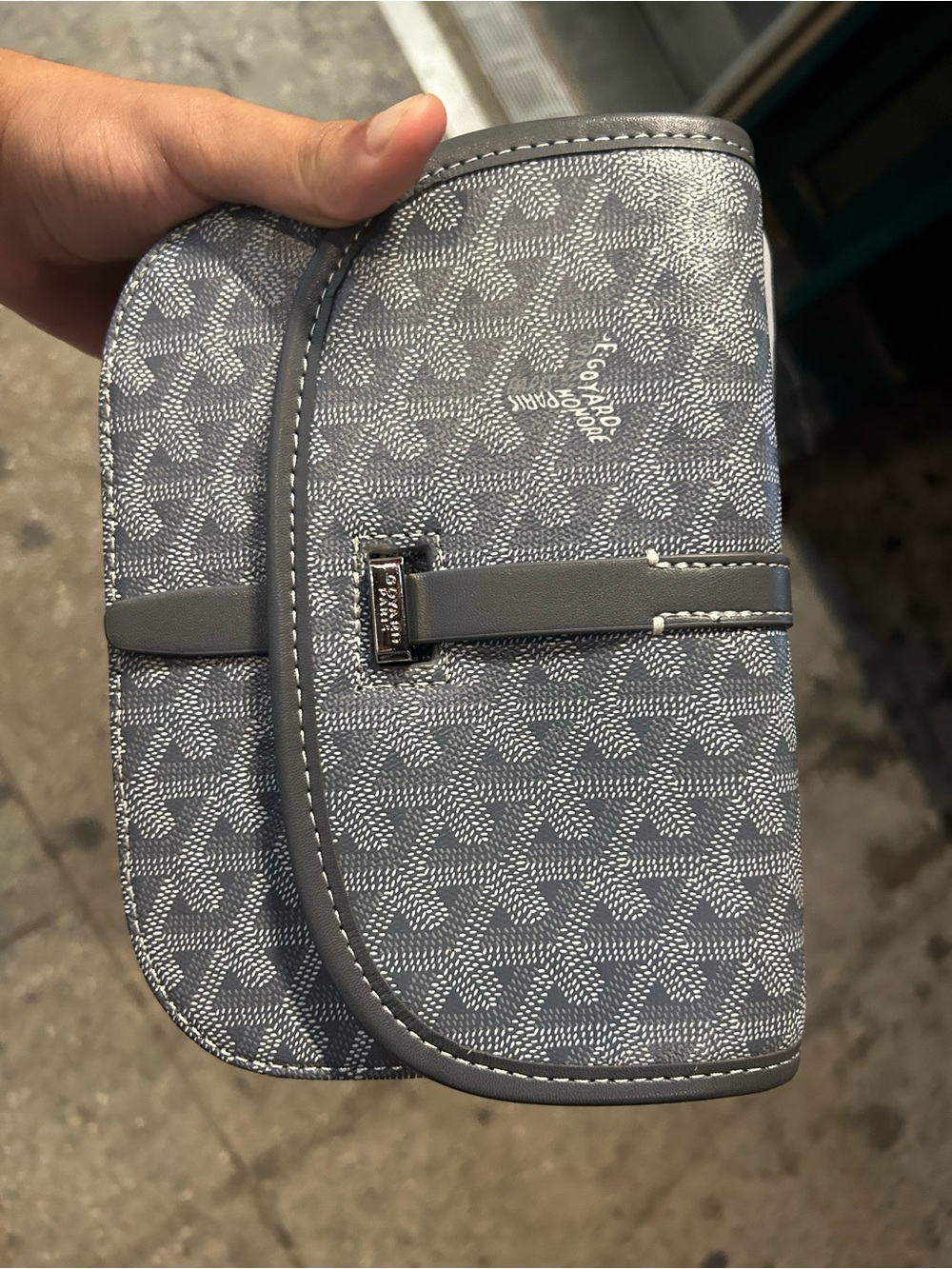 Goyard Gray Crossbody Bag